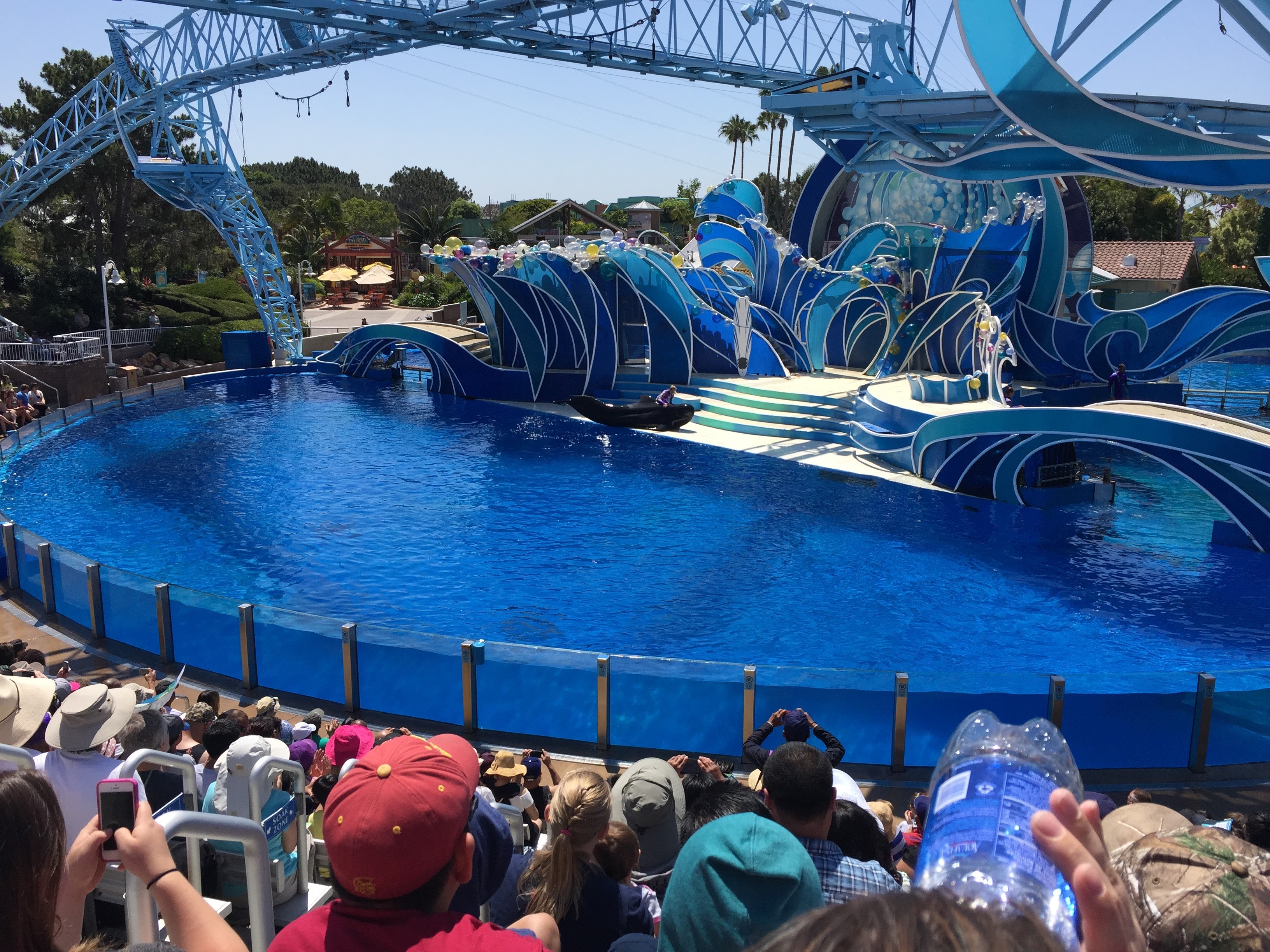 Sea World — June 2015