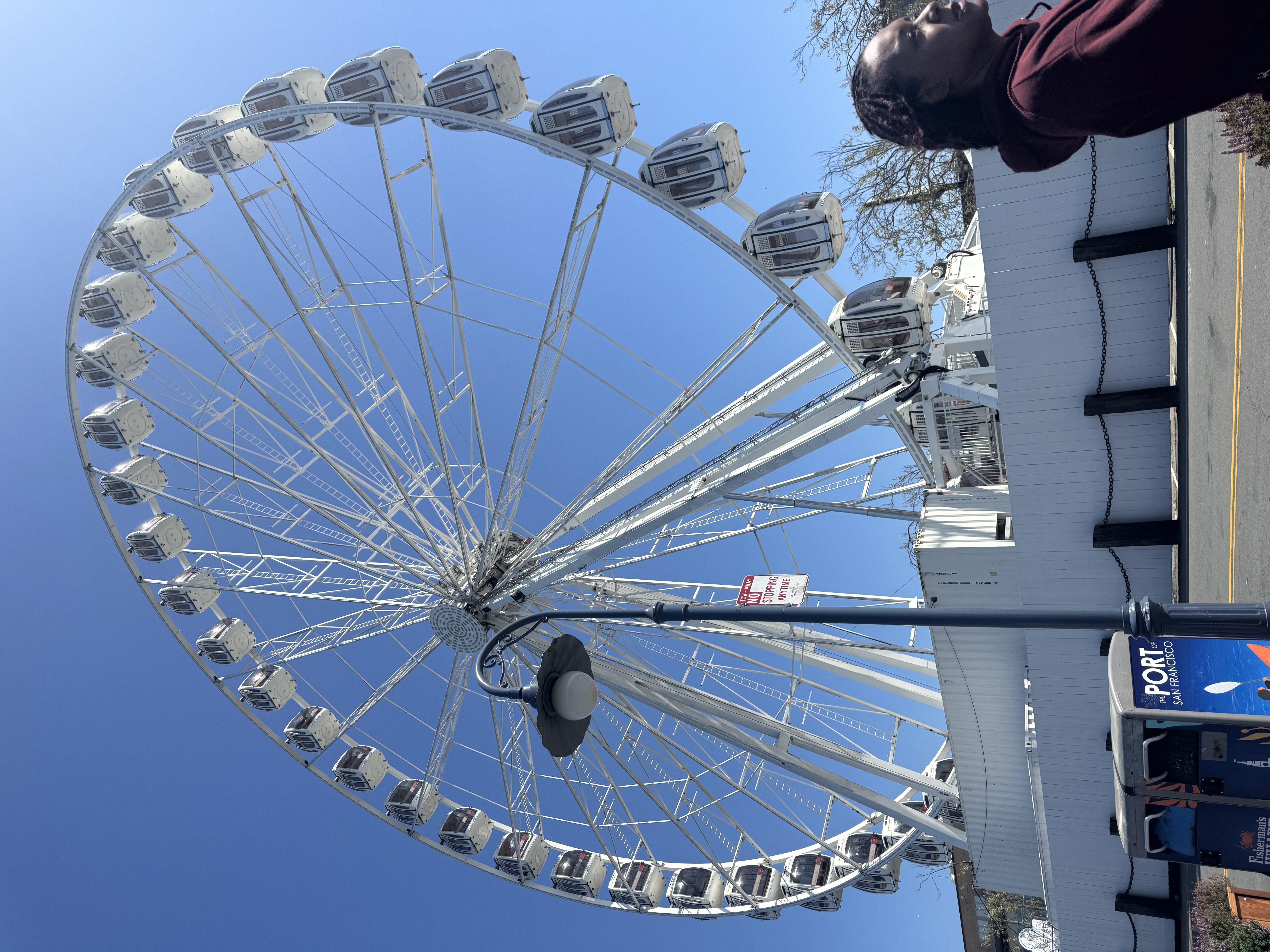 Seahorse vs ferris wheel