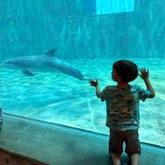 Hands on the glass